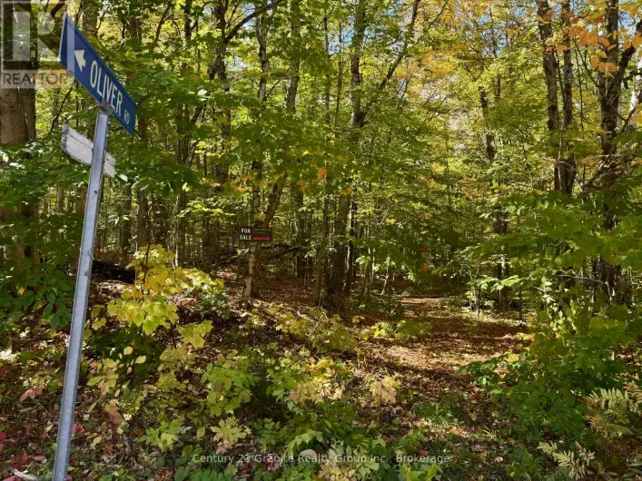 00 KUSHOG LAKE ROAD, Algonquin Highlands