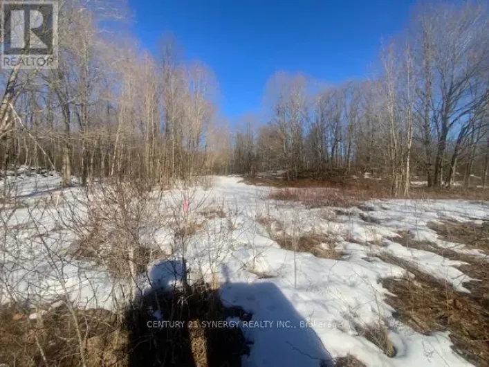 00 LOT 1 COUNTY  RD 10 ROAD, Rideau Lakes
