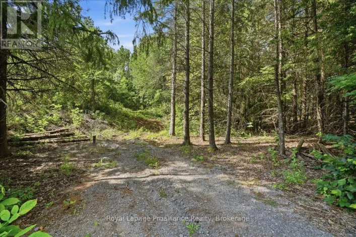00 OTTER CREEK ROAD, Tweed)