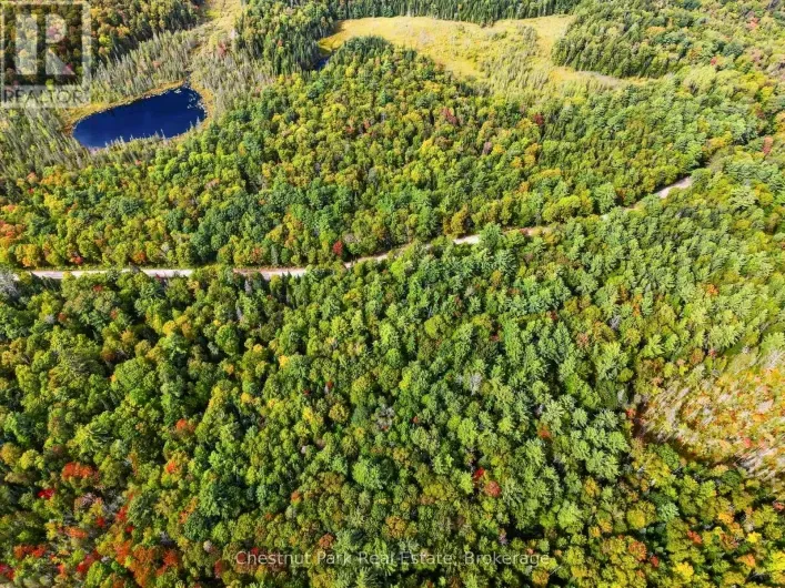 00 PAINT LAKE ROAD, Lake of Bays
