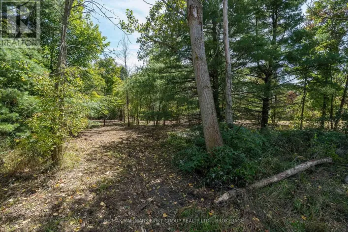 00 PALACE ROAD, Greater Napanee