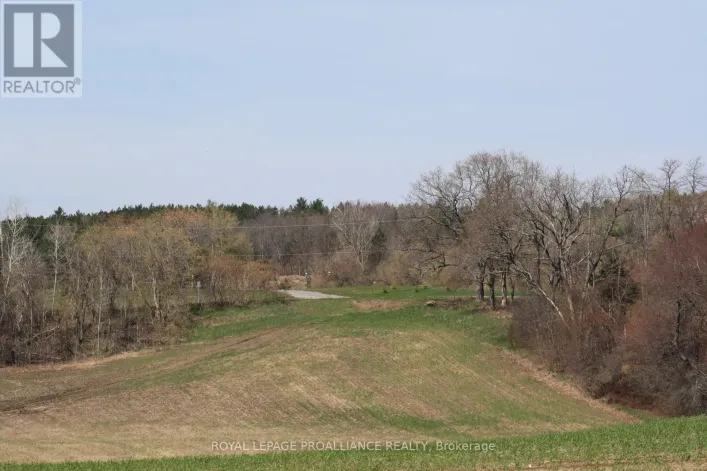 00 RILEY ROAD, Cramahe