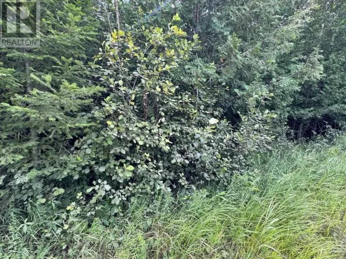 00 SCHIMMENS ROAD, Brudenell, Lyndoch and Raglan