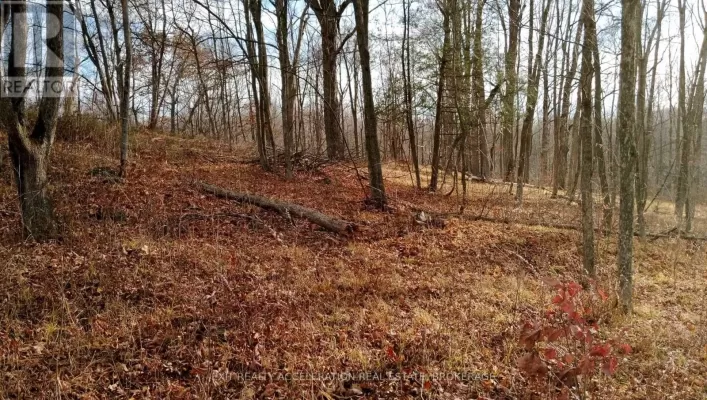 00 TRYON ROAD, Central Frontenac