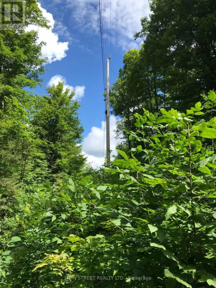 000 BLANCHARDS ROAD, Kawartha Lakes