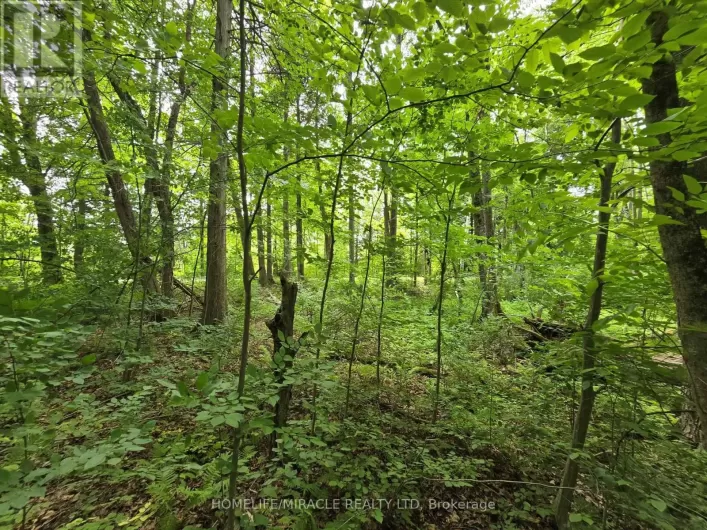 000 CEDAR SANDS ROAD, Rideau Lakes