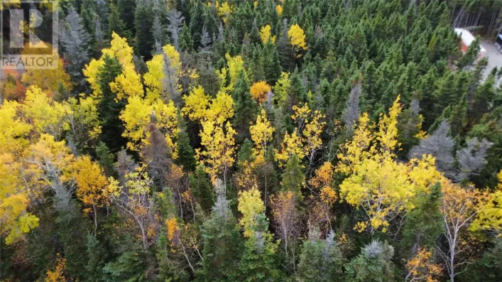 000 Fifth Road, South Brook