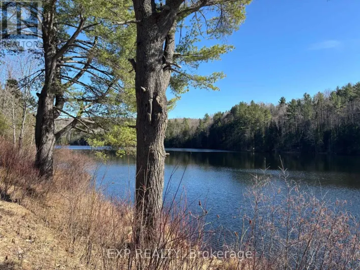 000 OPEONGO ROAD, Madawaska Valley