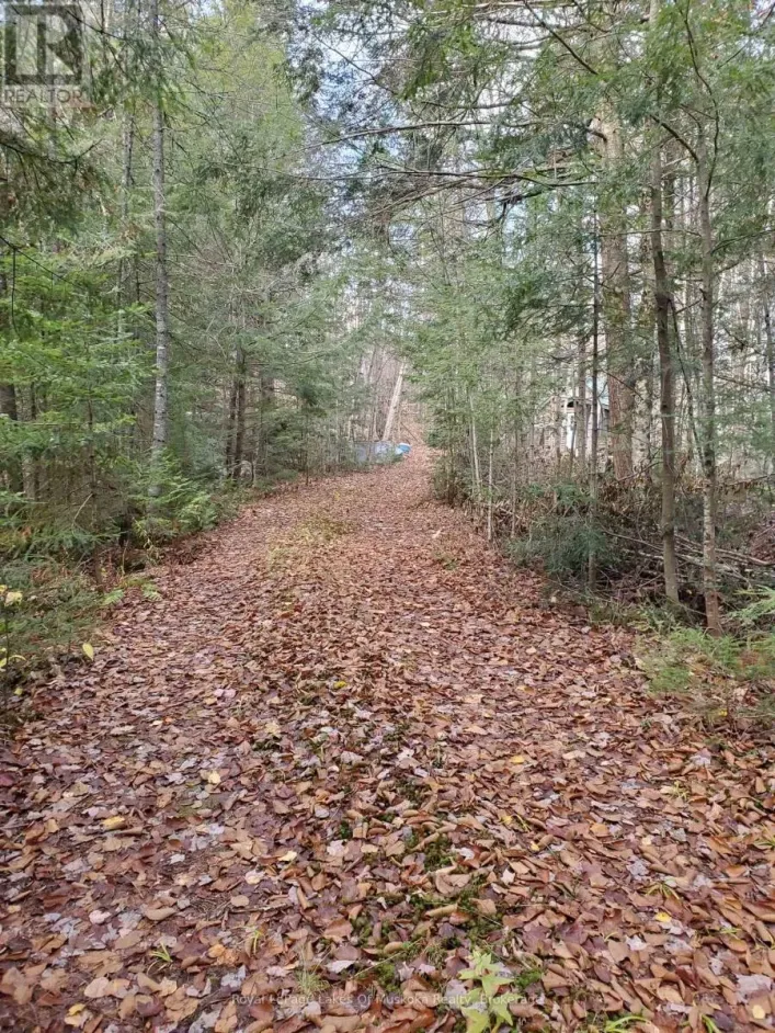 00000 RIL LAKE ROAD, Lake of Bays