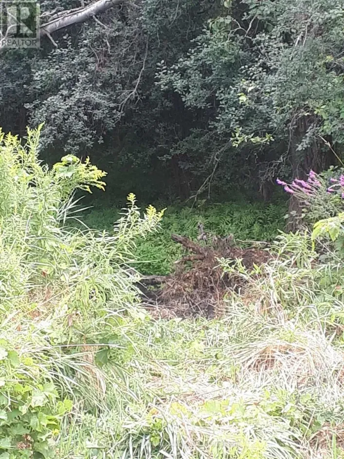 001 LOT 2 CONC 7, Port Hope