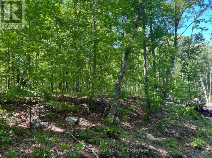 01 SIBERIA ROAD, Madawaska Valley