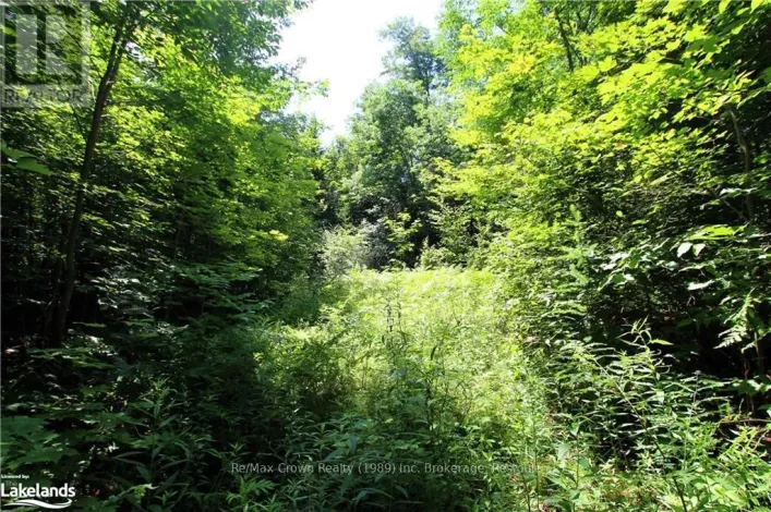 0A 20TH SIDE RD, Parry Sound Remote Area