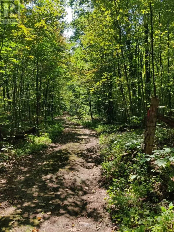 0EAST1 ROAD ALLOWANCE ROAD, Havelock-Belmont-Methuen
