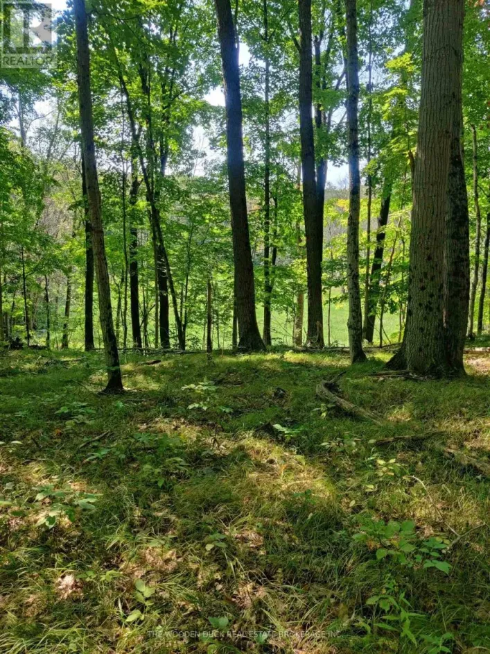 0EAST2 ROAD ALLOWANCE ROAD, Havelock-Belmont-Methuen