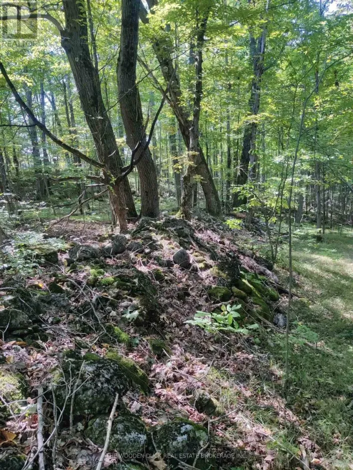 0WEST ROAD ALLOWANCE ROAD, Havelock-Belmont-Methuen