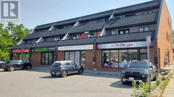 1 - 19 CHURCH STREET N, New Tecumseth