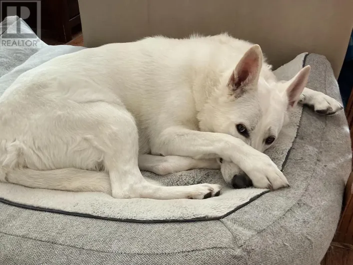 1 - 361 LINDEN STREET, Oshawa