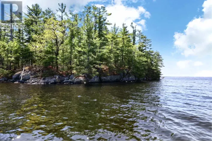 1 ISLAND 20LM ISLAND, Gravenhurst)