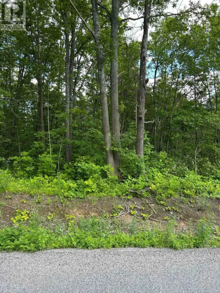 100, 104, AND 106 DINGMAN ROAD, Cramahe