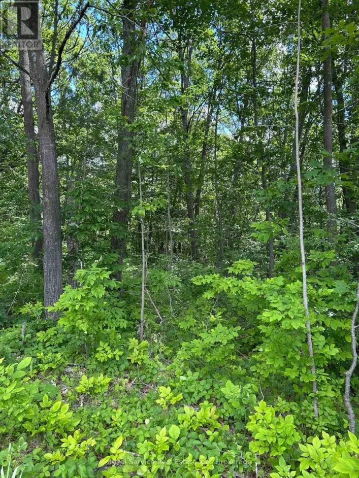 101, 102 AND 103 DINGMAN ROAD, Cramahe