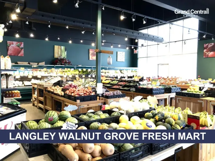 101 20378 88 AVENUE, Langley