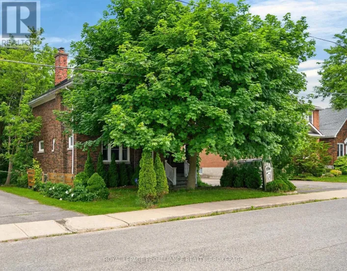 101 NAPIER STREET, Kingston
