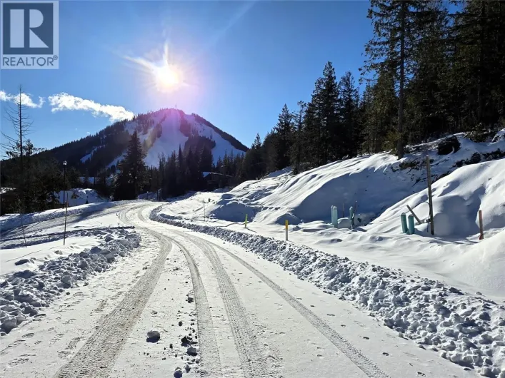 101 Topping Terrace, Rossland