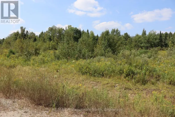 1010 PIPER GLEN ROAD, Minden Hills