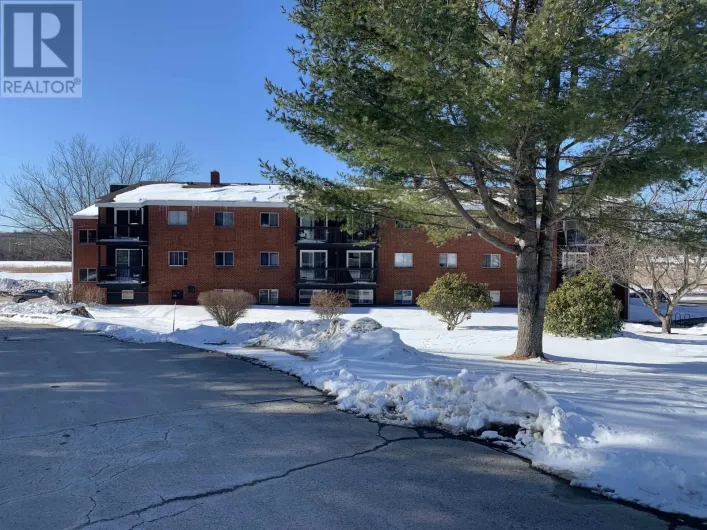 1011 Burgess Crescent, Windsor