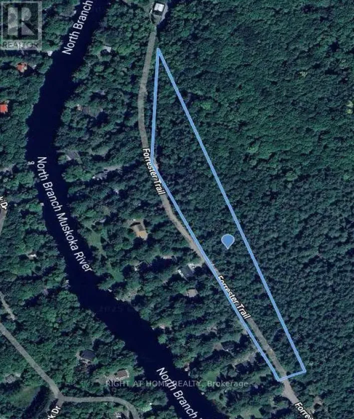 1019 FORRESTER TRAIL, Bracebridge