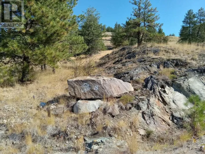 1024 BULLMOOSE Trail Lot# 8, Osoyoos