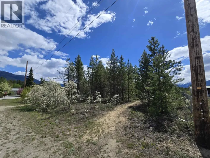 1025 9TH AVENUE, Valemount