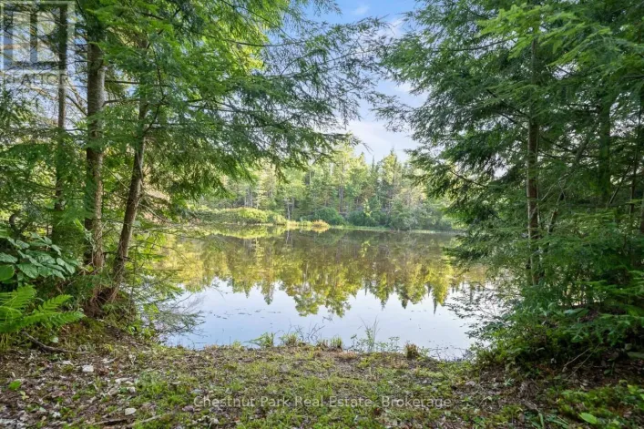 1025 MOE'S ROAD, Bracebridge