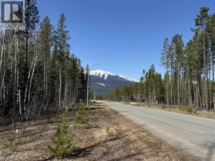 1035 18TH AVENUE, Valemount