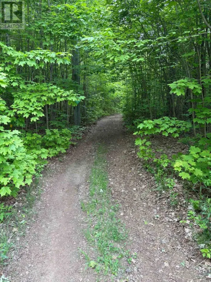 1043 LAWRENCE PIT ROAD, Muskoka Lakes