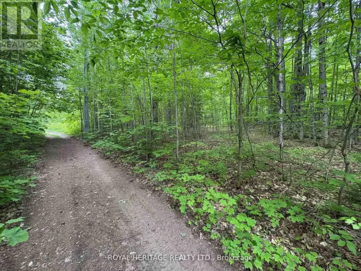 1043 LAWRENCE PIT ROAD, Muskoka Lakes