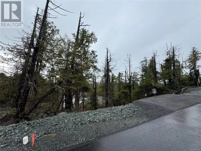 1043 Raven Lane, Ucluelet