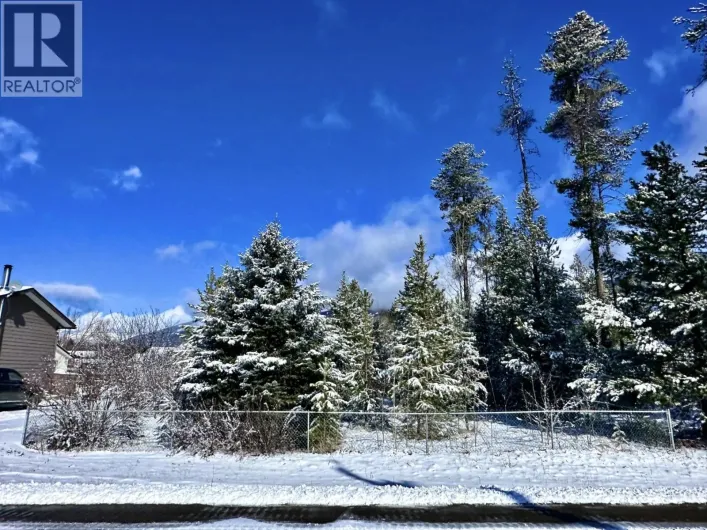 1044 9TH AVENUE, Valemount