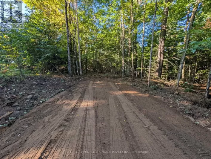 1055 PORKYS ROAD, Minden Hills