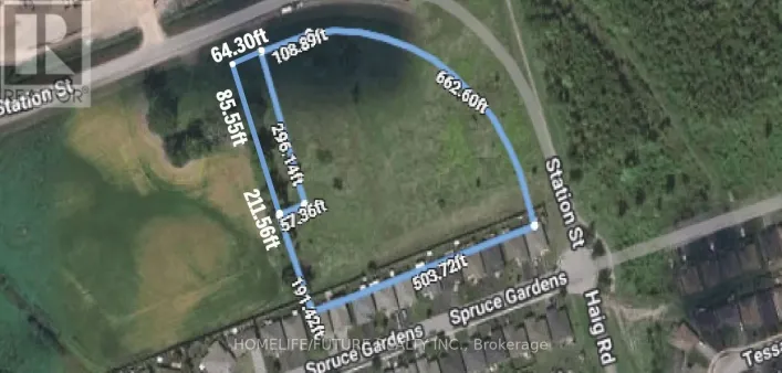 106 HAIG ROAD, Belleville