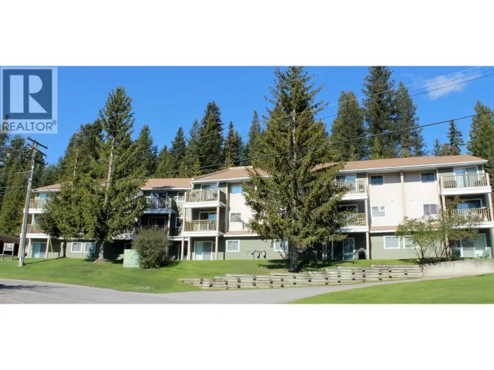 106B 1335 Alpine Drive, Elkford