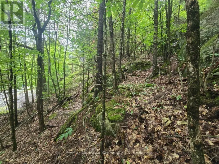 107 BALSAM CHUTES ROAD, Huntsville