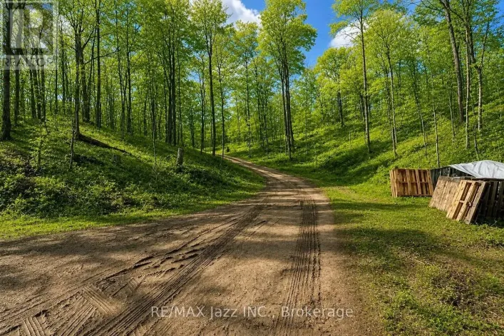 1091 CRYSTAL LAKE ROAD, Trent Lakes