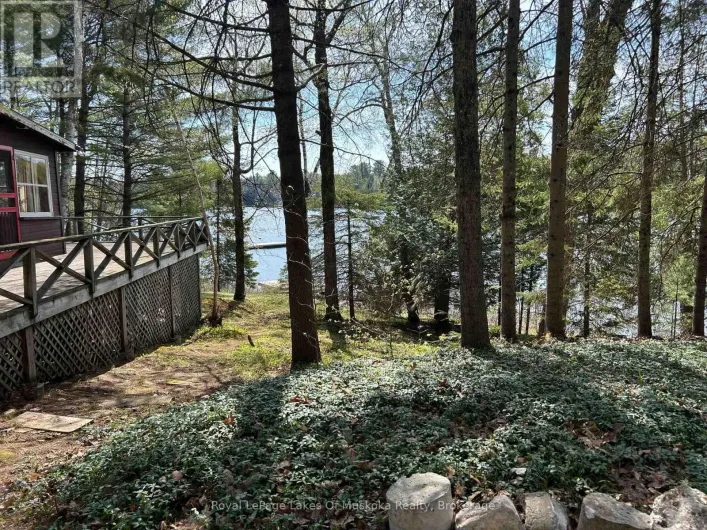 1091 NORTH TOOKE LAKE ROAD, Lake of Bays