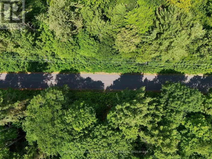 1098 OLD HWY 117, Lake of Bays