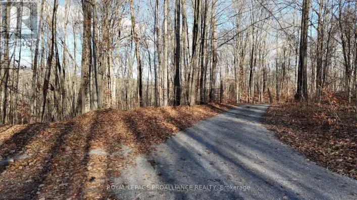 1098 TWIN SISTERS LAKE ROAD N, Marmora and Lake