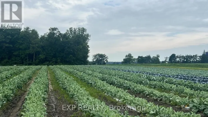 11 TUCKER STREET, Southwest Middlesex