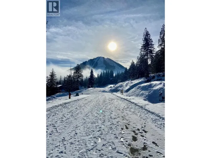 110 Topping Terrace, Rossland