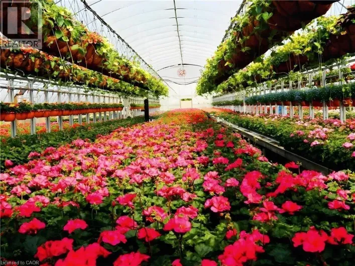 1101 DERRY Road, Milton