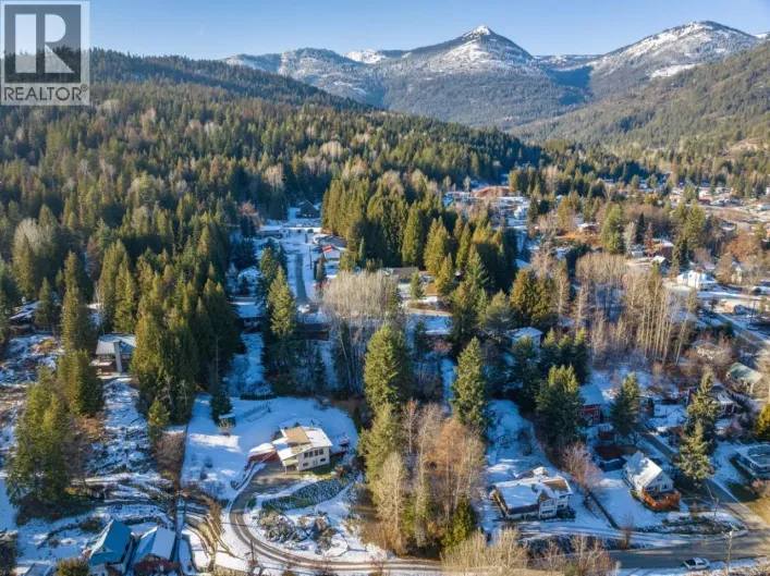 1101 SPOKANE Street, Rossland